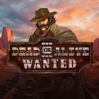 Dead Or Alive 3 Wanted
